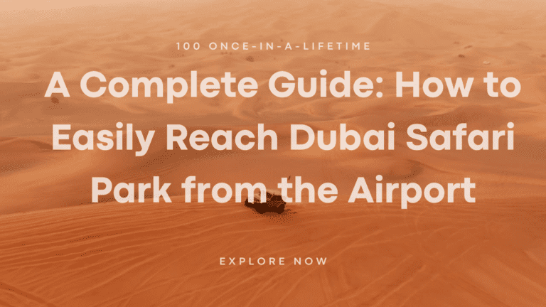 Read more about the article A Complete Guide: How to Easily Reach Dubai Safari Park from the Airport